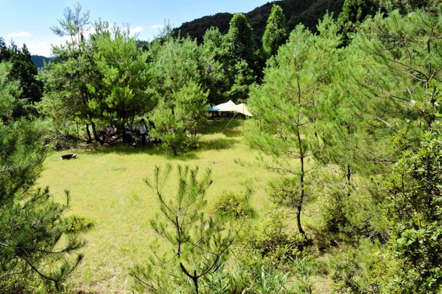 整備したキャンプ場全景＝豊岡市出石町奥山