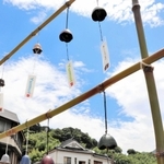 春来川や荒湯を背景に涼しげな音色を響かせる風鈴＝湯村温泉