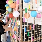 豊岡杞柳細工の職人が作った格子に願い事の短冊を飾るスタッフら＝豊岡市出石町内町