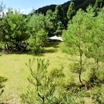 整備したキャンプ場全景＝豊岡市出石町奥山