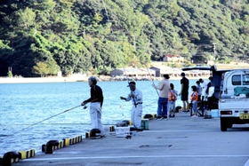 禁止掲示の撤回後、岸壁で釣りを楽しむ人たち＝柴山港