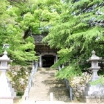 「トワイライトエクスプレス　瑞風」の乗客が立ち寄る大乗寺＝香美町香住区森（同町提供）