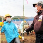 なしおとめの苗木を植える児童ら＝香美町香住区間室