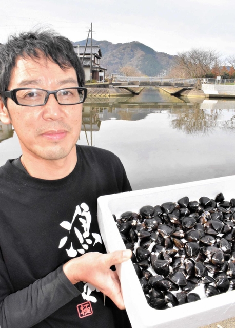 円山川で採れたシジミを手にする永沢賢作さん＝豊岡市内