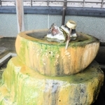 浜坂温泉の源泉＝新温泉町浜坂