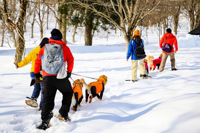 かんじきやスノーシューを履いて愛犬と植物園内を散歩する利用者たち＝香美町村岡区和池（たじま高原植物園提供）