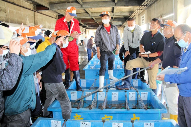 香住漁港西港の初競りで松葉ガニを買い求める仲買人たち＝昨年１１月６日、香美町香住区若松