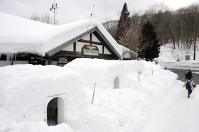 今季は６人用３棟が整備された「かまくらレストラン」＝香美町村岡区和池（たじま高原植物園提供）