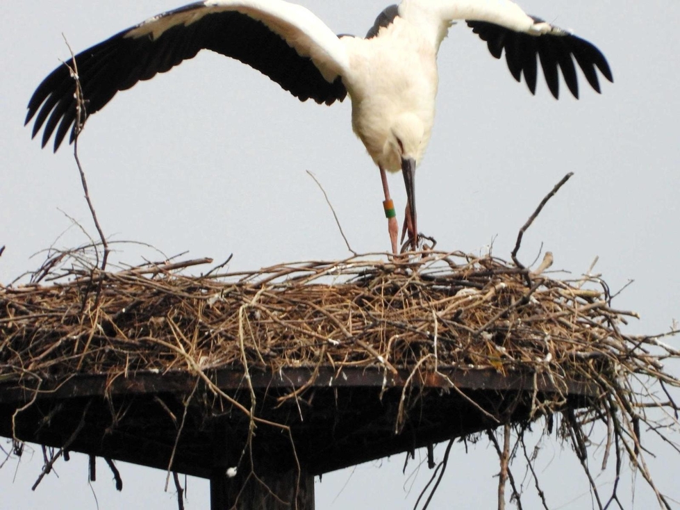 37q 6amuph61m 37q 6amuph61m