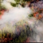 但東町の景色や人の暮らしをＰＲする動画の一部