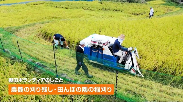 ボランティアに稲刈りなどを手伝ってもらう予定（但馬県民局のユーチューブチャンネルより）