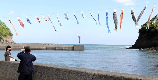 なびいて泳ぐこいのぼり＝香美町香住区鎧