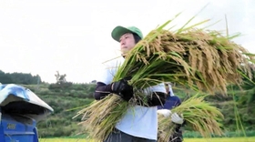 田植えや草刈り、稲刈りなどの協力を呼び掛けている（但馬県民局のユーチューブチャンネルより）
