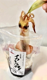 釣ったイカをそのまま入れて沖漬けにできる「イカしたれ！」（花房商店提供）