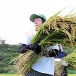 田植えや草刈り、稲刈りなどの協力を呼び掛けている（但馬県民局のユーチューブチャンネルより）