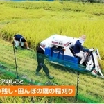 ボランティアに稲刈りなどを手伝ってもらう予定（但馬県民局のユーチューブチャンネルより）