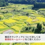 板仕野地区の棚田ボランティアを募集する動画（但馬県民局のユーチューブチャンネルより）