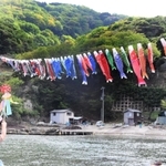 悠々となびくこいのぼり＝香美町香住区鎧
