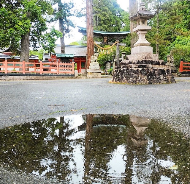 （河合美智子さん撮影）
