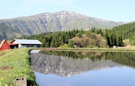 棚田の水面に姿を現した「逆さ氷ノ山」。山頂付近の残雪も映り込んだ＝養父市別宮