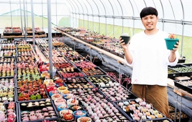 会場の一つで、多肉植物の展示や販売を行う多肉植物園ルーツ＝豊岡市但東町河本