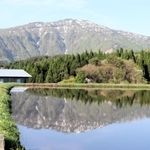 棚田の水面に姿を現した「逆さ氷ノ山」。山頂付近の残雪も映り込んだ＝養父市別宮