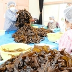 ワカメを選別し、長さを切りそろえる御火浦村おこしグループのメンバー＝新温泉町三尾