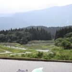 氷ノ山を望む棚田を背景に、記念撮影するマル（左）と養父市のキャラクター「やっぷー」＝養父市別宮