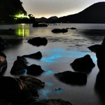 夜の浜辺に現れた夜光虫。波が打ち寄せると、青白く輝く＝香美町香住区（３０秒露光）
