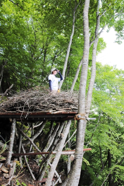 巨大な鳥の巣を模している＝香美町村岡区大笹