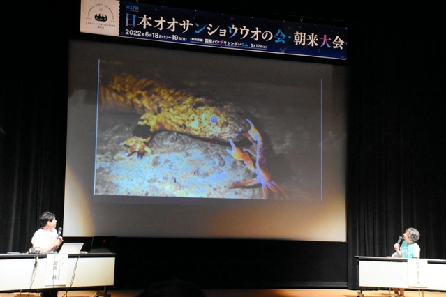 日本ハンザキ研究所の栃本武良・元所長をしのんで対談する竹下景子さん（右）と岡田純理事長＝生野マインホール