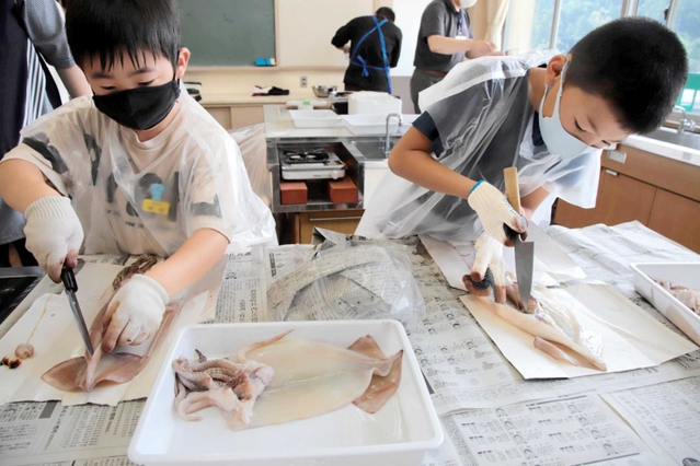 スルメイカに包丁を入れる児童＝長井小学校