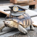 余部鉄橋「空の駅」駅長のケヅメリクガメ「そらちゃん」も「ウェルカメ！」と呼び掛けている＝香美町香住区余部