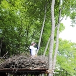 巨大な鳥の巣を模している＝香美町村岡区大笹