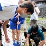 川の生き物を捕獲、調査する生徒たち＝朝来市生野町真弓