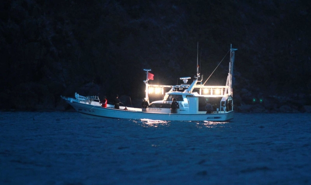 集魚灯をたくイカ釣り漁船＝但馬沖