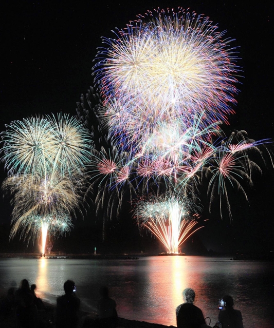 さまざまな創作花火が夜空を彩った＝３０日夜、豊岡市竹野町、竹野浜海水浴場（撮影・岡本好太郎）