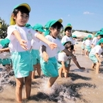 「冷たい！」。波打ち際で歓声を上げる園児＝香住浜海水浴場