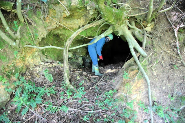 山裾に残る坑道跡＝香美町村岡区八井谷