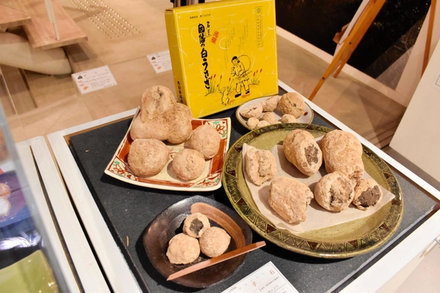 鳥取県倉吉市で採取された「団子石」＝玄武洞ミュージアム