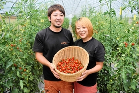 ビニールハウスでミニトマトを手にする小川恭弘さん（左）と菜美さん＝豊岡市出石町