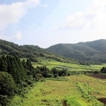 高さ約１００メートルの地点から飛び立つと、緑の山並みが眼下に広がる＝豊岡市日高町太田、アップかんなべ