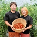 ビニールハウスでミニトマトを手にする小川恭弘さん（左）と菜美さん＝豊岡市出石町