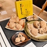 鳥取県倉吉市で採取された「団子石」＝玄武洞ミュージアム