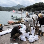 土のうを作って岸壁沿いに並べる作業員ら＝香美町香住区沖浦