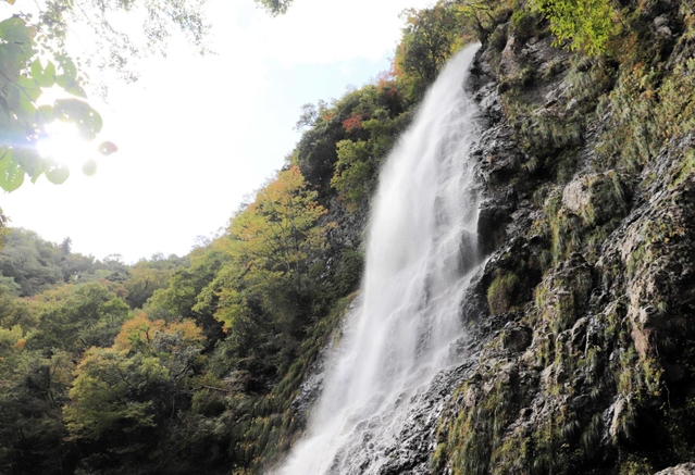 登山道が応急復旧され、２２日には通行可能となる。天滝は１１月上旬に紅葉の見頃を迎える＝養父市大屋町筏
