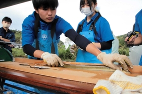 石倉かごに入っていたニホンウナギ＝香美町香住区油良