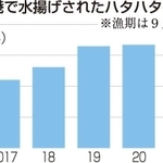神戸新聞ＮＥＸＴ