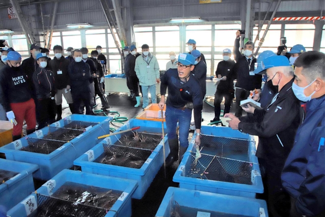 ズワイガニ漁の初競りで港が活気づいた＝柴山港