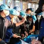 松葉ガニを買い求める仲買人ら＝柴山港
